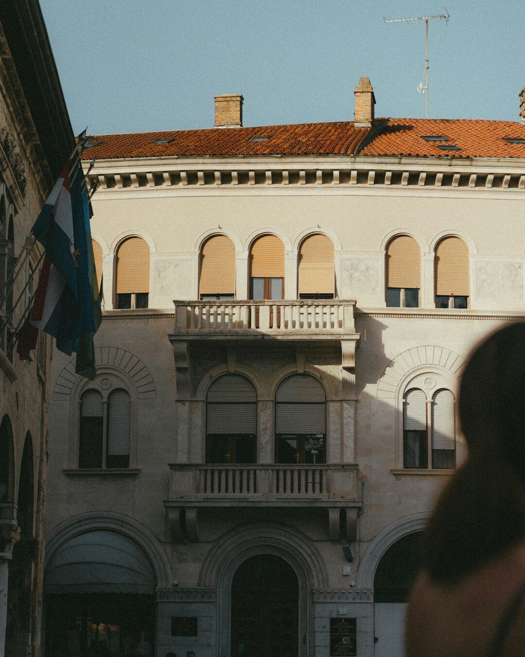 Portrait of a professional Croatian woman club director